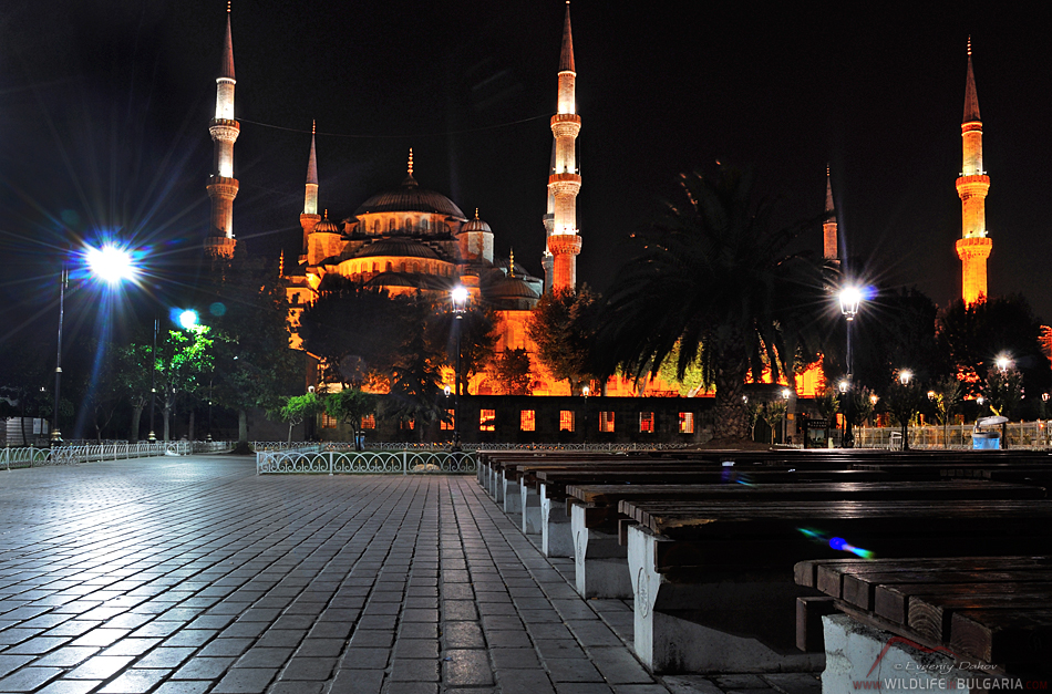 Blue-Mosque