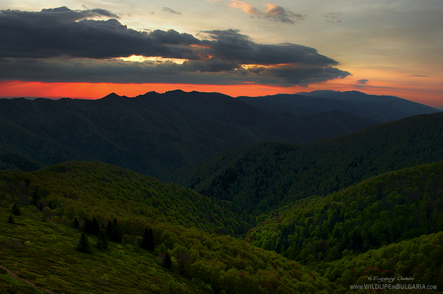 Echo Hut Sunrise