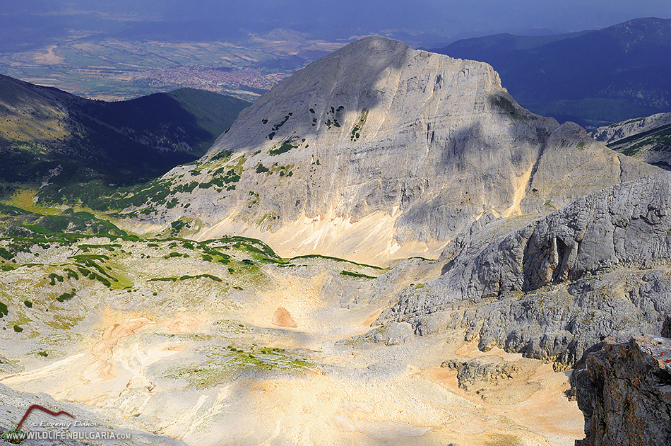 Pirin Izgled Koncheto 1